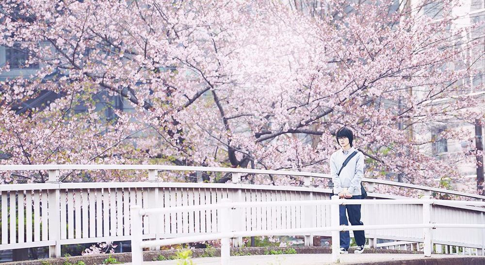 sangatsu rosa.jpg sangatsu rosa.jpg